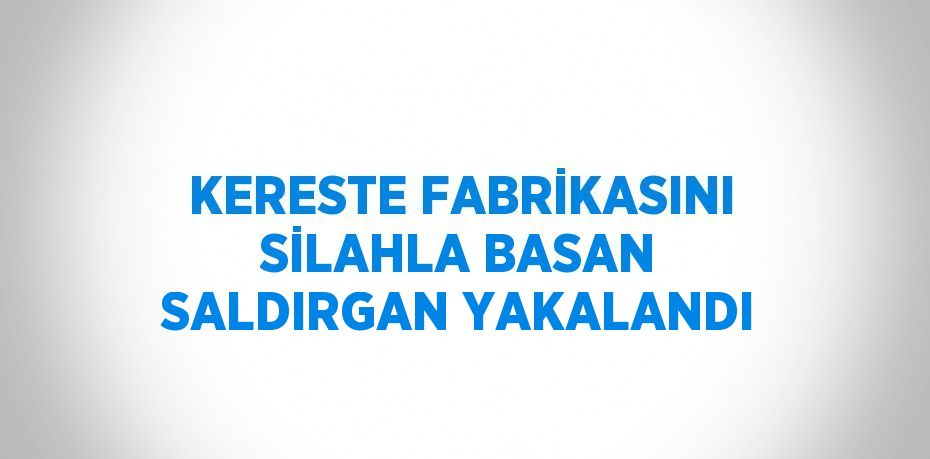 KERESTE FABRİKASINI SİLAHLA BASAN SALDIRGAN YAKALANDI