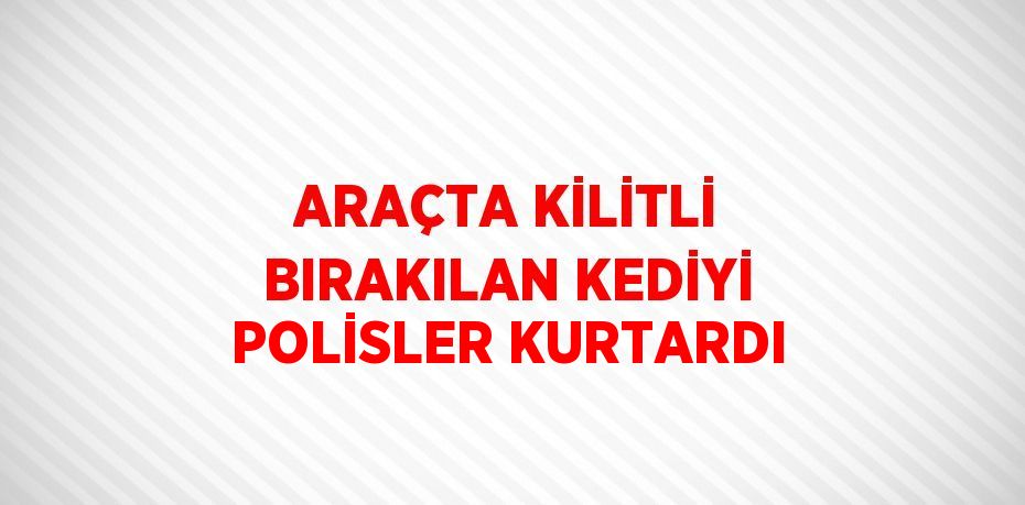 ARAÇTA KİLİTLİ BIRAKILAN KEDİYİ POLİSLER KURTARDI