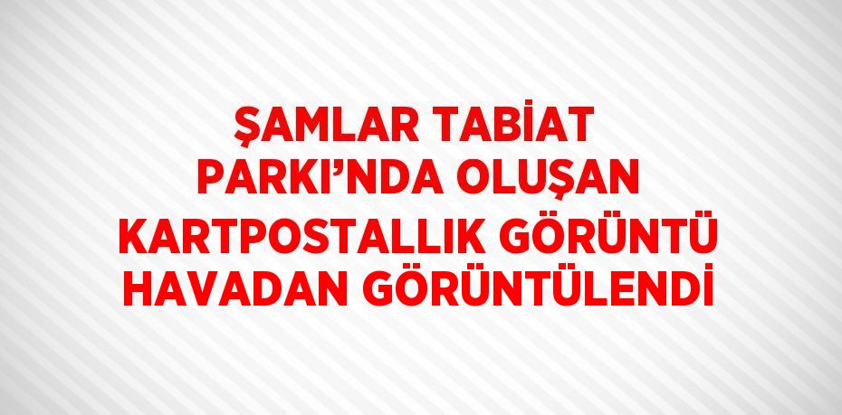 ŞAMLAR TABİAT PARKI’NDA OLUŞAN KARTPOSTALLIK GÖRÜNTÜ HAVADAN GÖRÜNTÜLENDİ