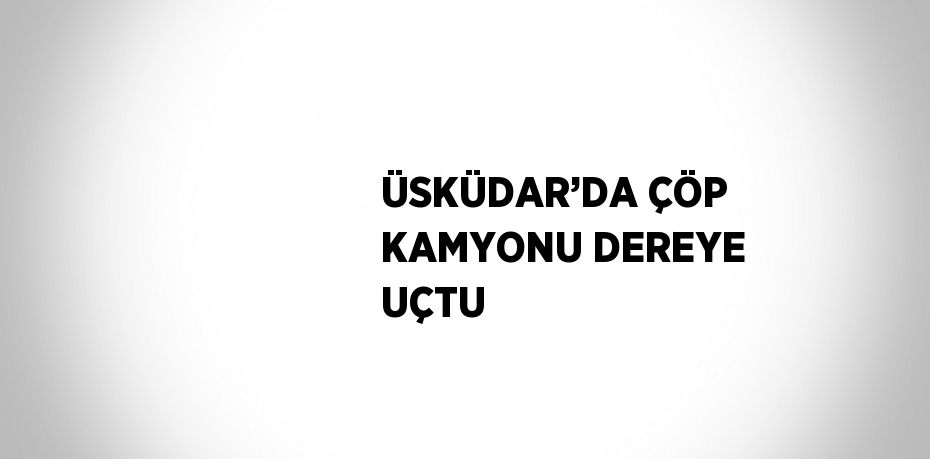 ÜSKÜDAR’DA ÇÖP KAMYONU DEREYE UÇTU