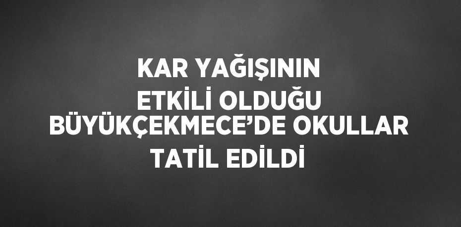 KAR YAĞIŞININ ETKİLİ OLDUĞU BÜYÜKÇEKMECE’DE OKULLAR TATİL EDİLDİ