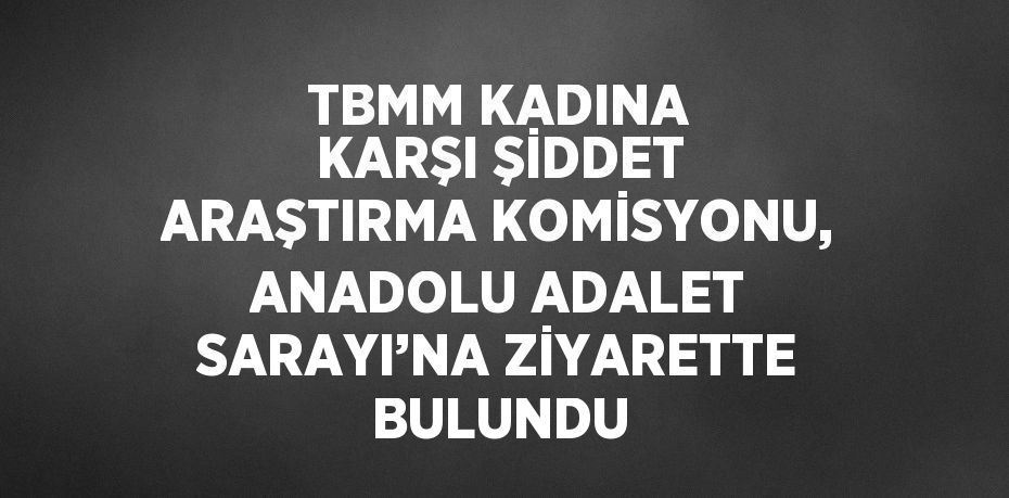 TBMM KADINA KARŞI ŞİDDET ARAŞTIRMA KOMİSYONU, ANADOLU ADALET SARAYI’NA ZİYARETTE BULUNDU