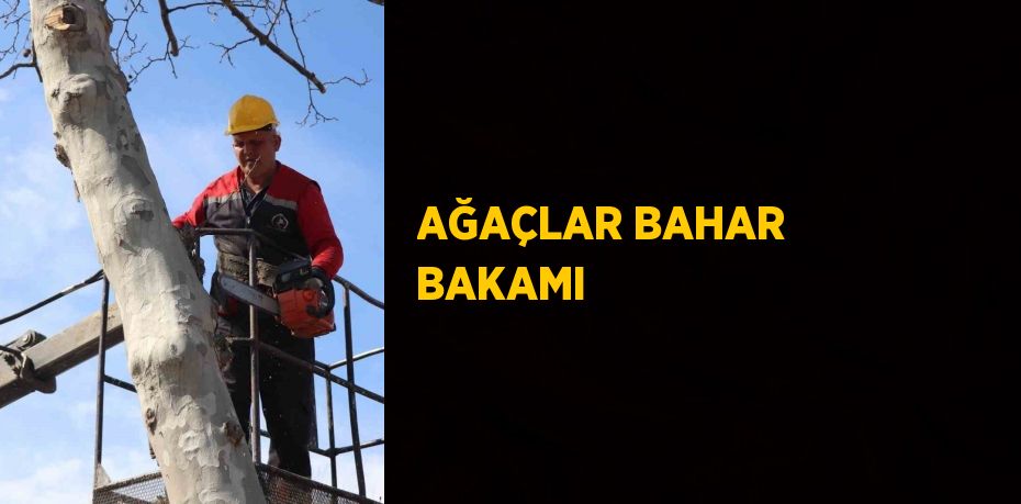 AĞAÇLAR BAHAR BAKAMI