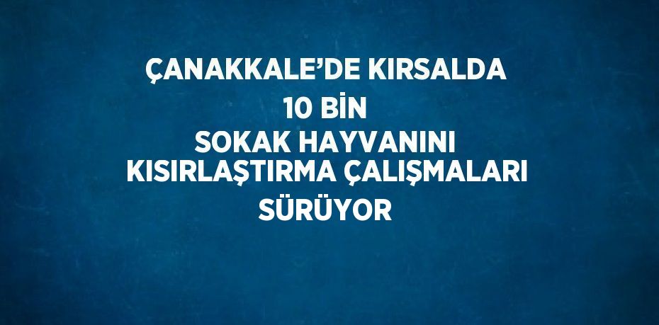 ÇANAKKALE’DE KIRSALDA 10 BİN SOKAK HAYVANINI KISIRLAŞTIRMA ÇALIŞMALARI SÜRÜYOR