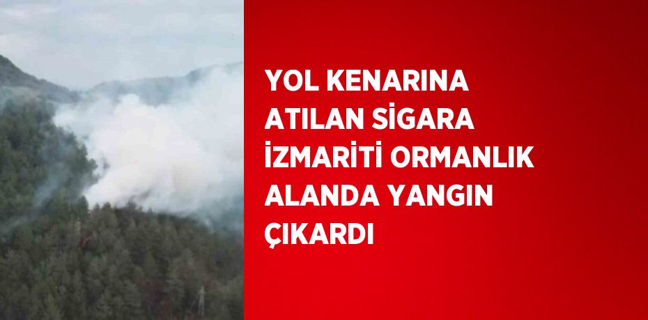 YOL KENARINA ATILAN SİGARA İZMARİTİ ORMANLIK ALANDA YANGIN ÇIKARDI