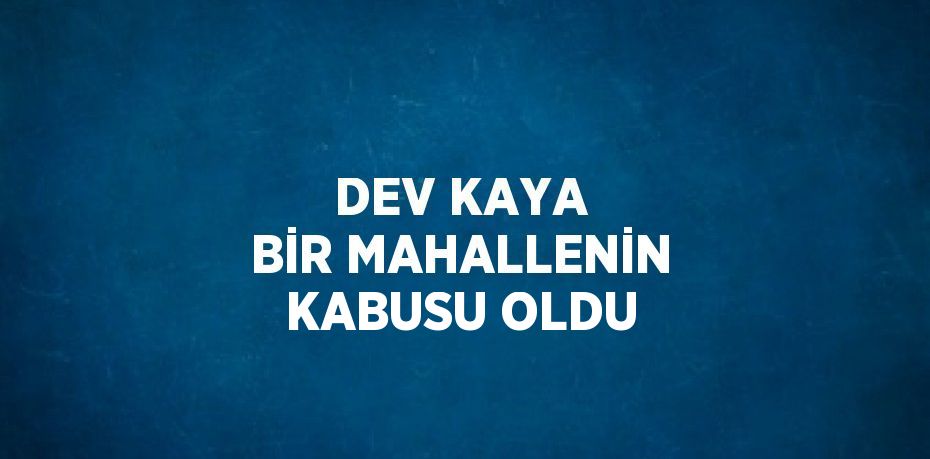 DEV KAYA BİR MAHALLENİN KABUSU OLDU