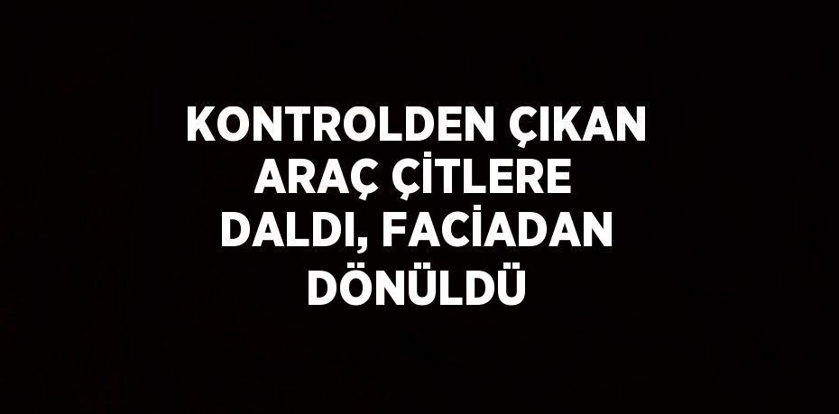 KONTROLDEN ÇIKAN ARAÇ ÇİTLERE DALDI, FACİADAN DÖNÜLDÜ