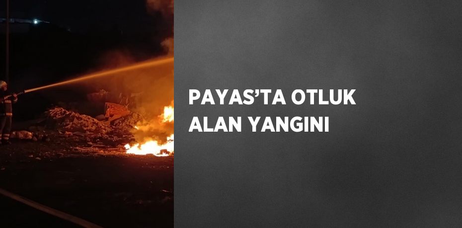 PAYAS’TA OTLUK ALAN YANGINI