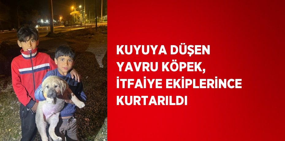 KUYUYA DÜŞEN YAVRU KÖPEK, İTFAİYE EKİPLERİNCE KURTARILDI