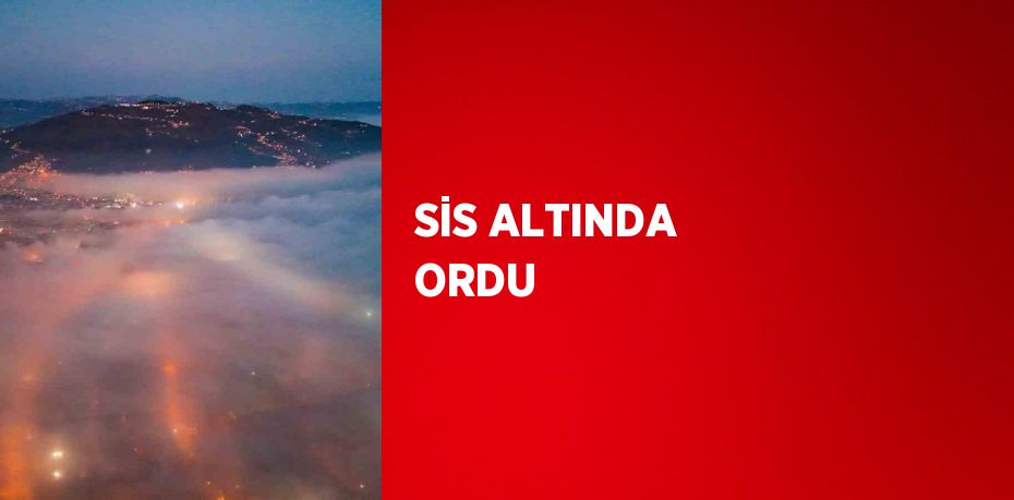 SİS ALTINDA ORDU