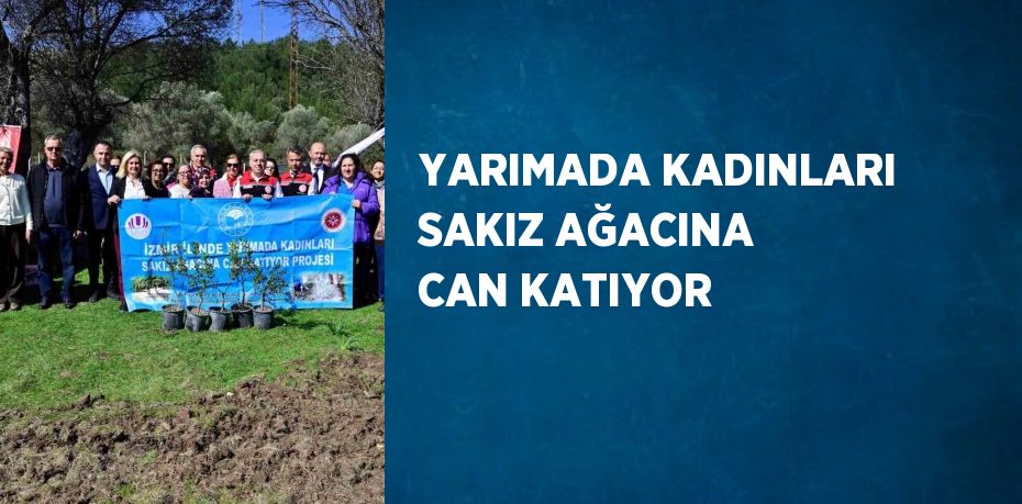 YARIMADA KADINLARI SAKIZ AĞACINA CAN KATIYOR