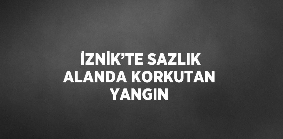 İZNİK’TE SAZLIK ALANDA KORKUTAN YANGIN