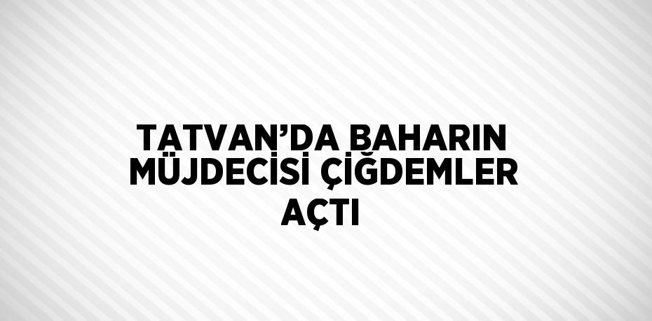 TATVAN’DA BAHARIN MÜJDECİSİ ÇİĞDEMLER AÇTI