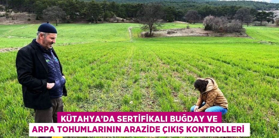 KÜTAHYA’DA SERTİFİKALI BUĞDAY VE ARPA TOHUMLARININ ARAZİDE ÇIKIŞ KONTROLLERİ