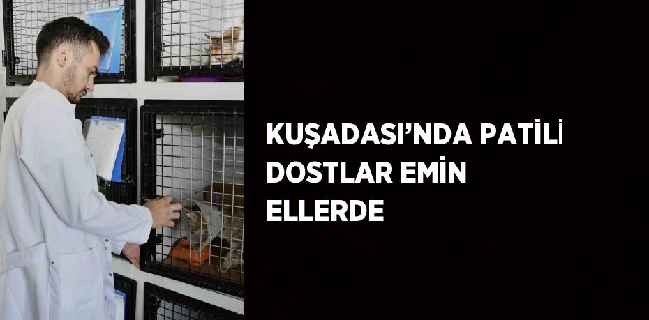 KUŞADASI’NDA PATİLİ DOSTLAR EMİN ELLERDE