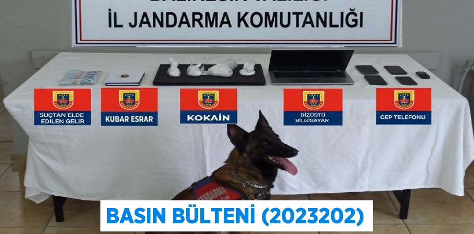 Basın Bülteni (2023202)