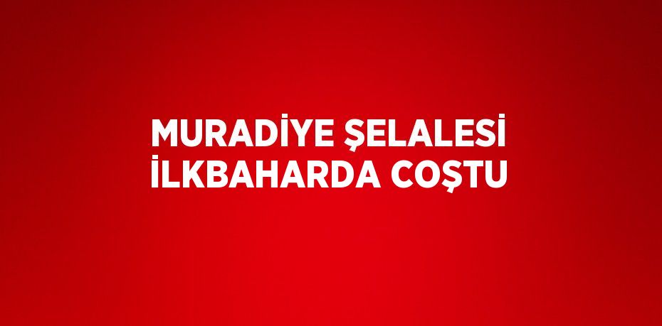 MURADİYE ŞELALESİ İLKBAHARDA COŞTU