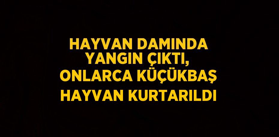 HAYVAN DAMINDA YANGIN ÇIKTI, ONLARCA KÜÇÜKBAŞ HAYVAN KURTARILDI