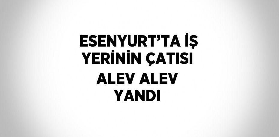 ESENYURT’TA İŞ YERİNİN ÇATISI ALEV ALEV YANDI