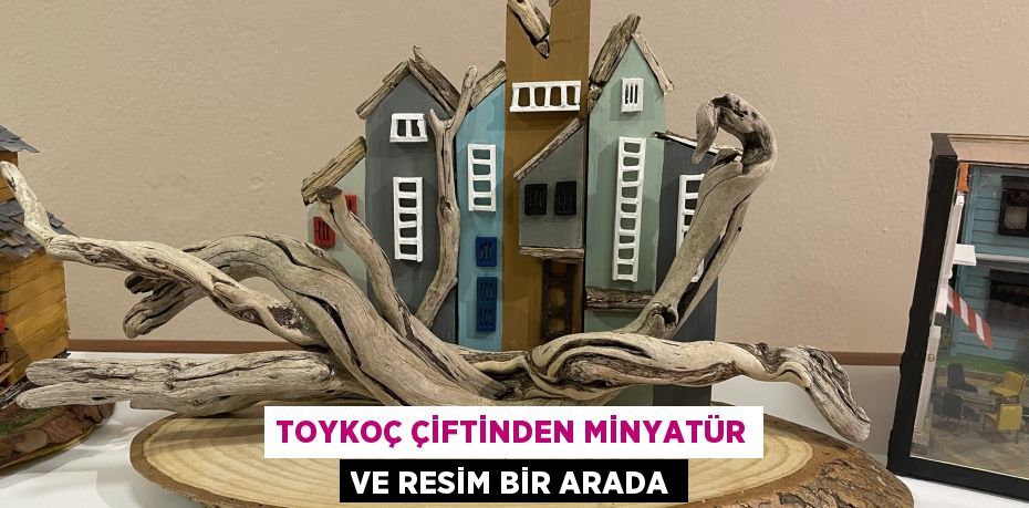 TOYKOÇ ÇİFTİNDEN MİNYATÜR VE RESİM BİR ARADA