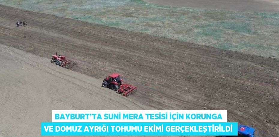 BAYBURT’TA SUNİ MERA TESİSİ İÇİN KORUNGA VE DOMUZ AYRIĞI TOHUMU EKİMİ GERÇEKLEŞTİRİLDİ