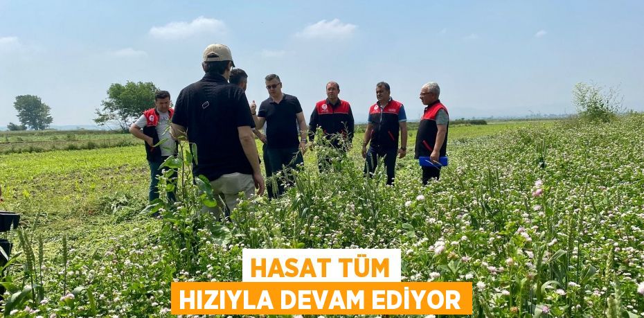 Hasat Tüm Hızıyla Devam Ediyor