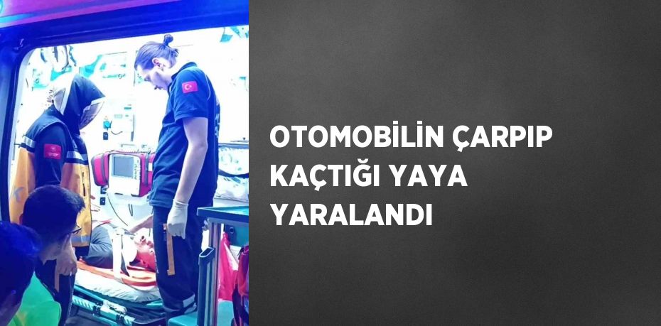 OTOMOBİLİN ÇARPIP KAÇTIĞI YAYA YARALANDI