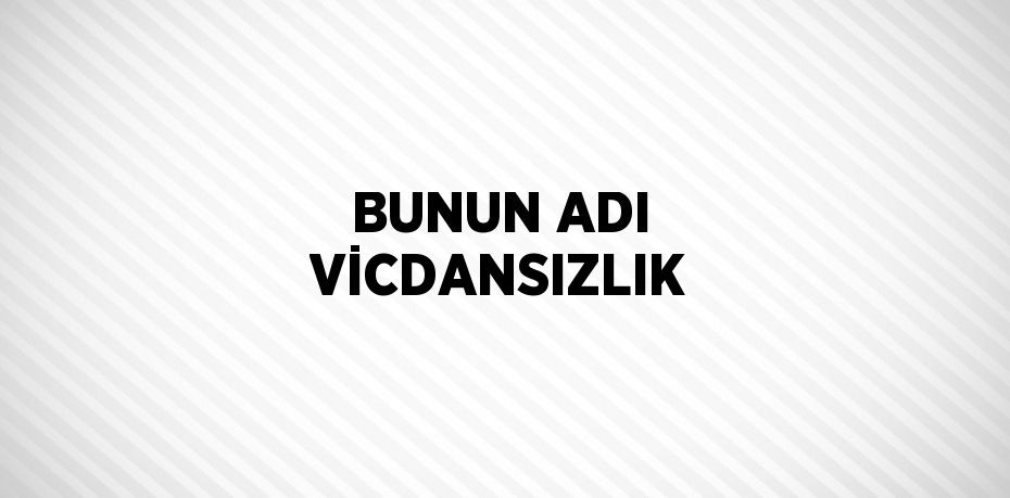 BUNUN ADI VİCDANSIZLIK