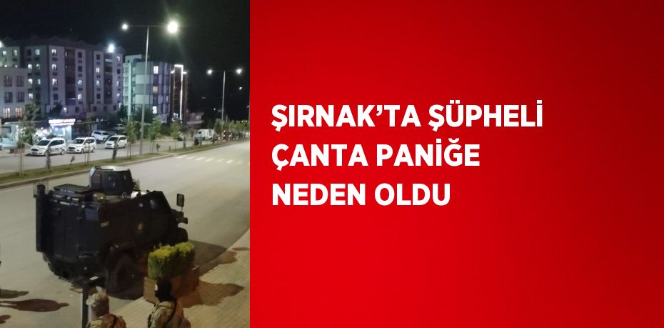 ŞIRNAK’TA ŞÜPHELİ ÇANTA PANİĞE NEDEN OLDU