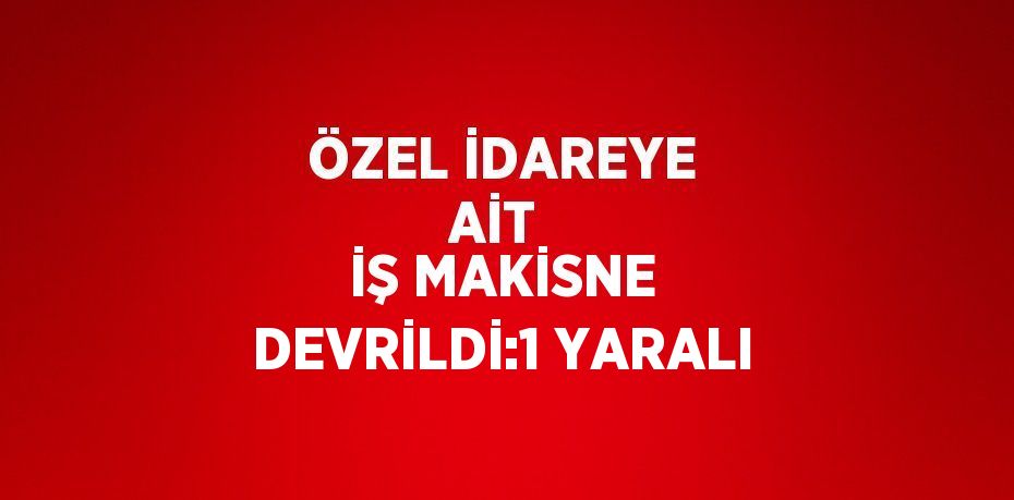 ÖZEL İDAREYE AİT  İŞ MAKİSNE DEVRİLDİ:1 YARALI