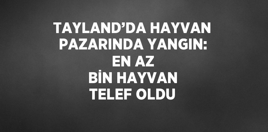 TAYLAND’DA HAYVAN PAZARINDA YANGIN: EN AZ BİN HAYVAN TELEF OLDU