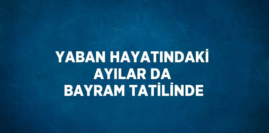 YABAN HAYATINDAKİ AYILAR DA BAYRAM TATİLİNDE