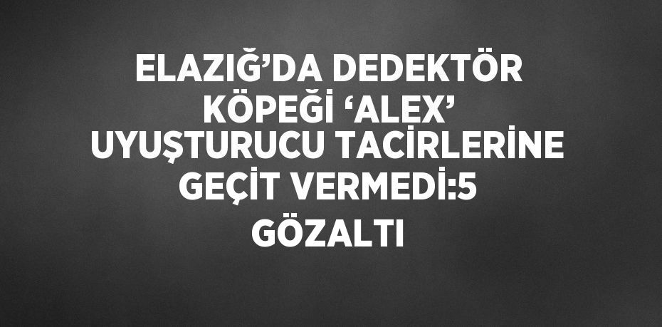 ELAZIĞ’DA DEDEKTÖR KÖPEĞİ ‘ALEX’ UYUŞTURUCU TACİRLERİNE GEÇİT VERMEDİ:5 GÖZALTI