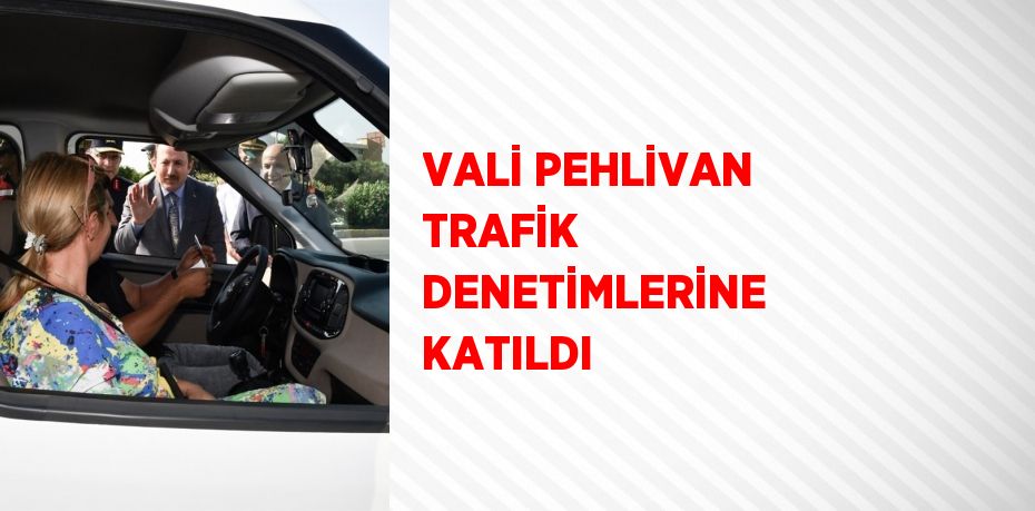 VALİ PEHLİVAN TRAFİK DENETİMLERİNE KATILDI