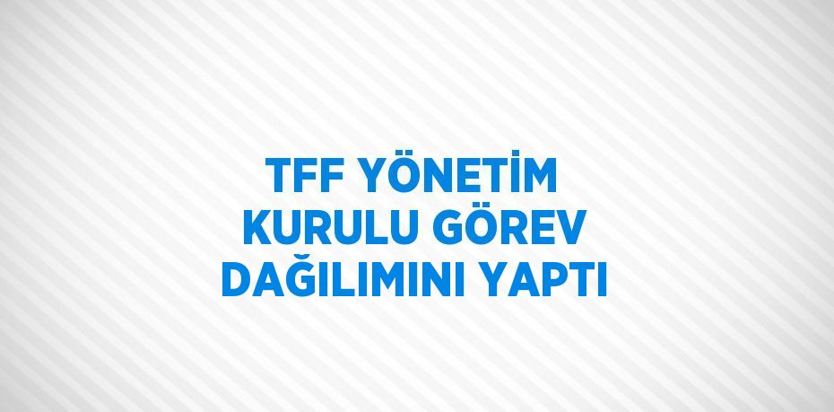 TFF YÖNETİM KURULU GÖREV DAĞILIMINI YAPTI