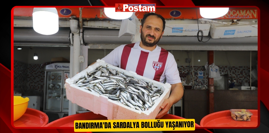 Bandırma'da sardalya bolluğu yaşanıyor