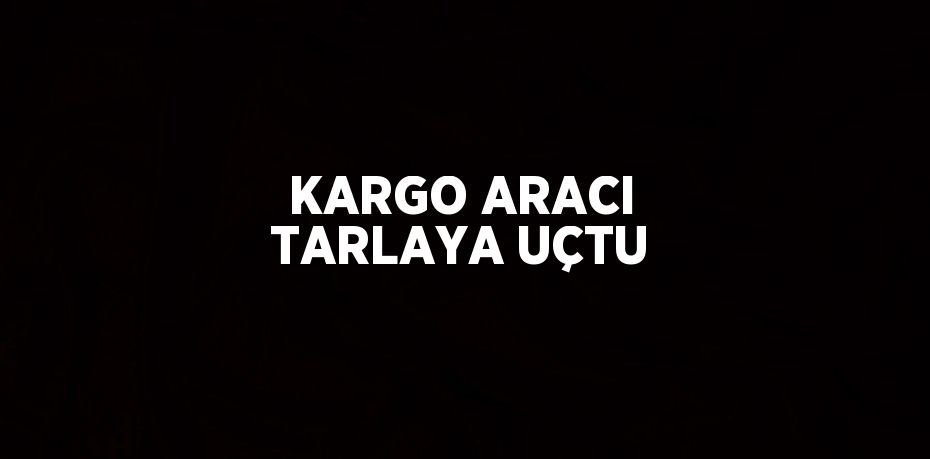 KARGO ARACI TARLAYA UÇTU