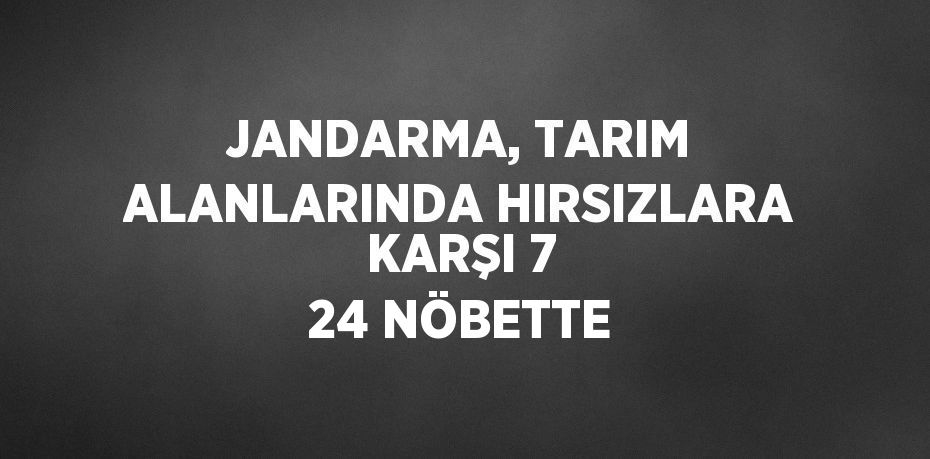 JANDARMA, TARIM ALANLARINDA HIRSIZLARA KARŞI 7 24 NÖBETTE