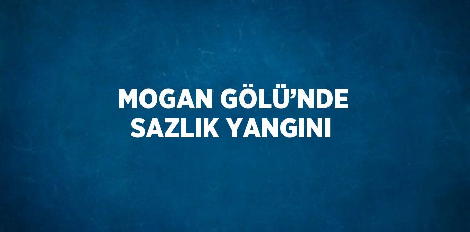 MOGAN GÖLÜ’NDE SAZLIK YANGINI