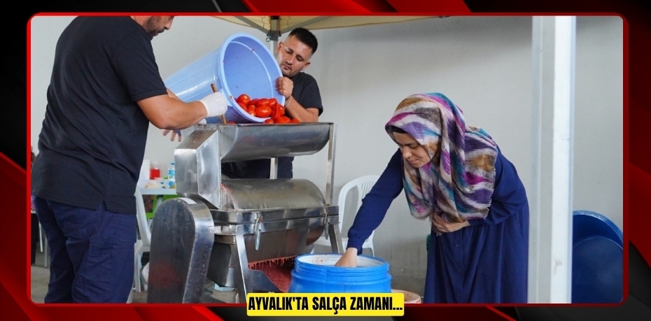 AYVALIK'TA SALÇA ZAMANI…