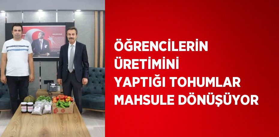 ÖĞRENCİLERİN ÜRETİMİNİ YAPTIĞI TOHUMLAR MAHSULE DÖNÜŞÜYOR