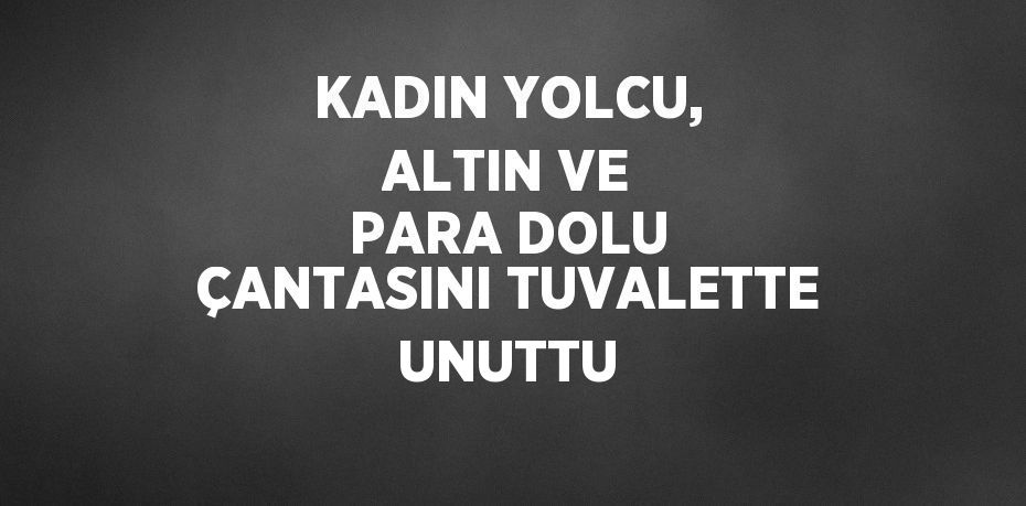 KADIN YOLCU, ALTIN VE PARA DOLU ÇANTASINI TUVALETTE UNUTTU