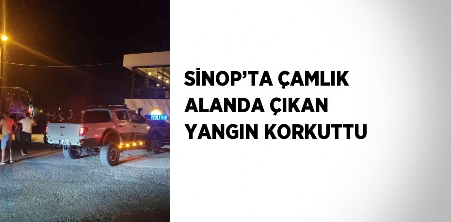 SİNOP’TA ÇAMLIK ALANDA ÇIKAN YANGIN KORKUTTU