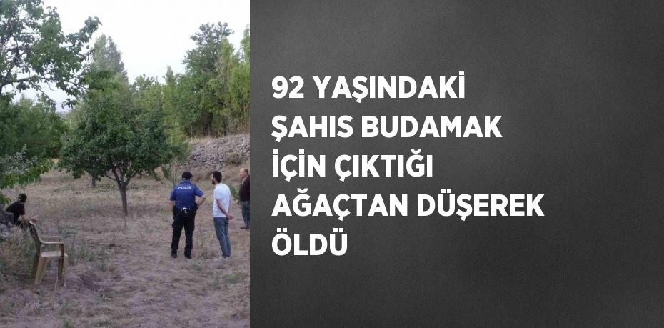 92 YAŞINDAKİ ŞAHIS BUDAMAK İÇİN ÇIKTIĞI AĞAÇTAN DÜŞEREK ÖLDÜ