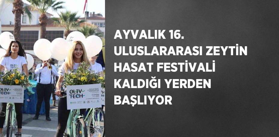 AYVALIK 16. ULUSLARARASI ZEYTİN HASAT FESTİVALİ KALDIĞI YERDEN BAŞLIYOR