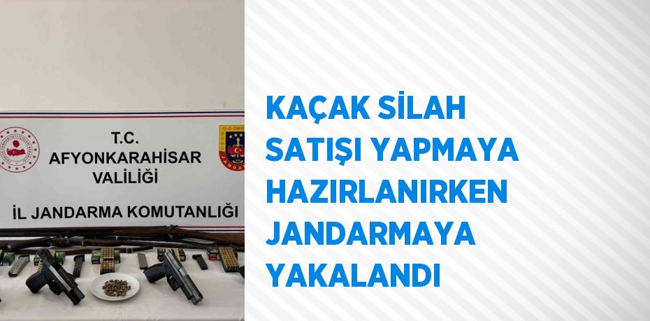 KAÇAK SİLAH SATIŞI YAPMAYA HAZIRLANIRKEN JANDARMAYA YAKALANDI