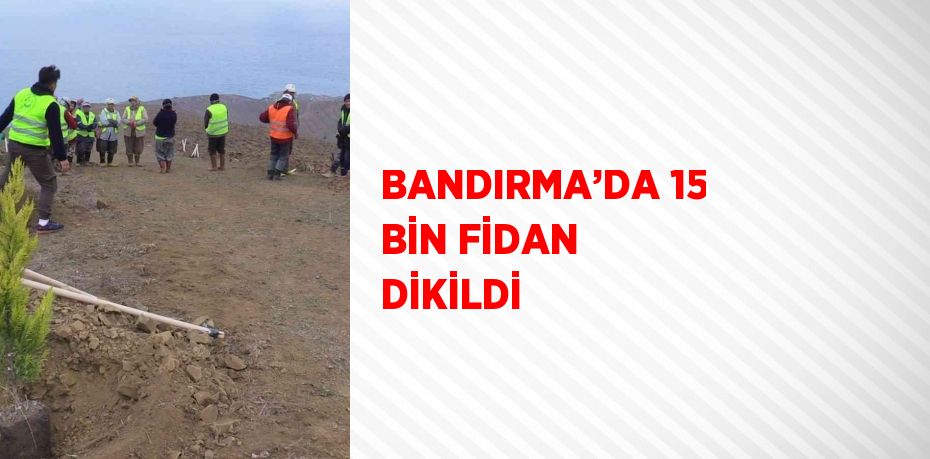 BANDIRMA’DA 15 BİN FİDAN DİKİLDİ