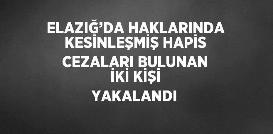 ELAZIĞ’DA HAKLARINDA KESİNLEŞMİŞ HAPİS CEZALARI BULUNAN İKİ KİŞİ YAKALANDI