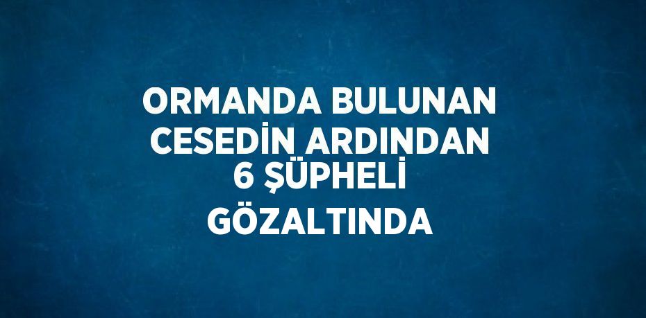 ORMANDA BULUNAN CESEDİN ARDINDAN 6 ŞÜPHELİ GÖZALTINDA