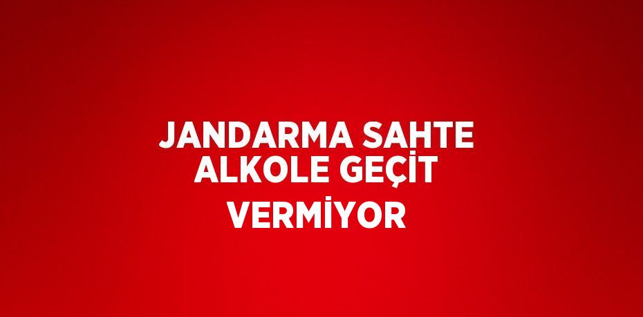 JANDARMA SAHTE ALKOLE GEÇİT VERMİYOR